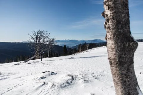 Winter hiking Stock Photos