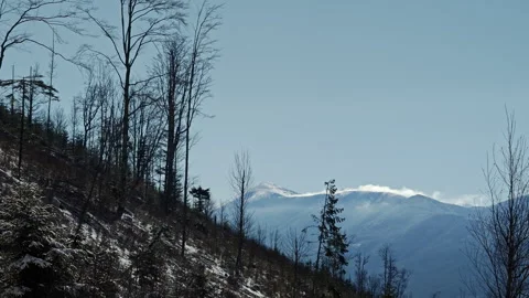 Winter Hillside Deforestation Snowy Mountain Peaks Landscape Stock-Footage 336503645