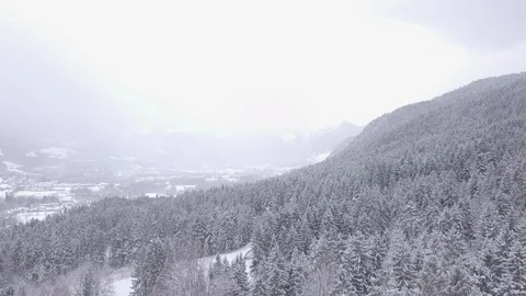 Winter Hillside  Vídeo Stock 88704948