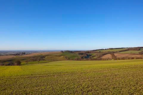 Winter hillside landscape Stock Photos