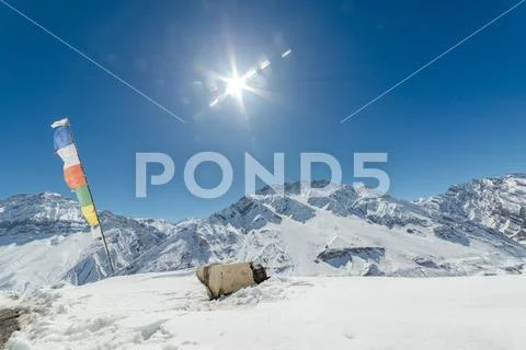 Winter in himalayas - Sun star burst in mountains Stock Photos
