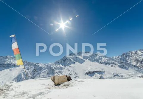 Winter in himalayas - Sun star burst in mountains Stock Photos