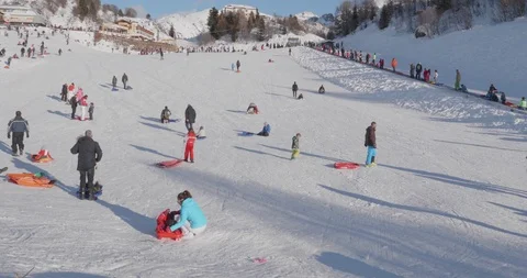 Winter Holiday Bob Stock Footage 101020411