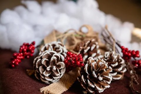 Winter holiday composition with pinecones, snow effect, and red berries. Stock Photos
