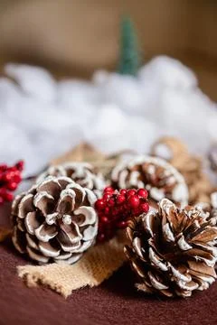 Winter holiday composition with pinecones, snow effect, and red berries. Stock Photos