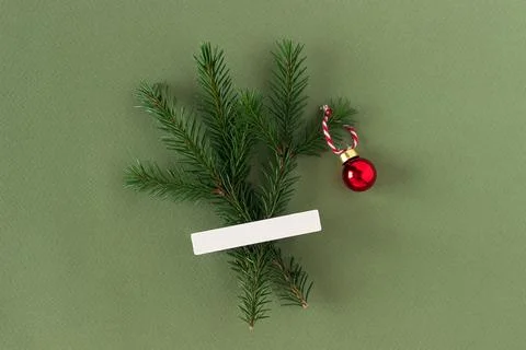 Winter holiday creative layout made of christmas tree on green background. To Stock Photos