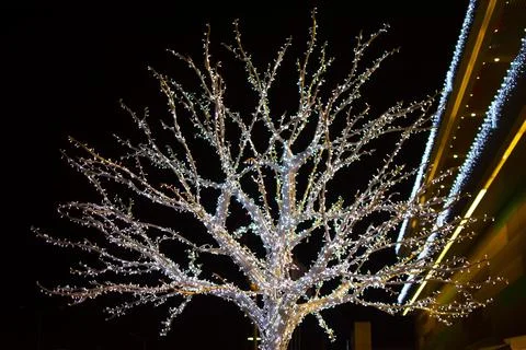 Winter holiday decorations at the artificial tree and Afyon park shopping center Stock Photos
