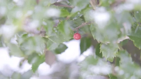 Winter Holiday Vídeo Stock 144457538