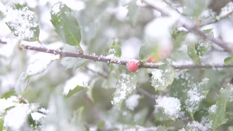 Winter Holiday Vídeo Stock 144457573