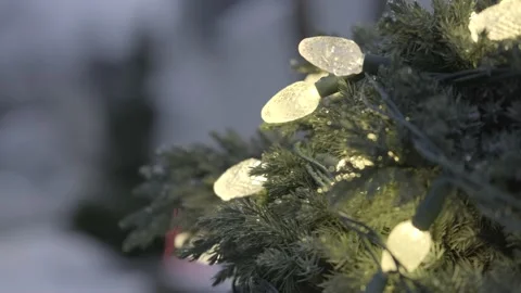 Winter Holiday Vídeo Stock 144457603