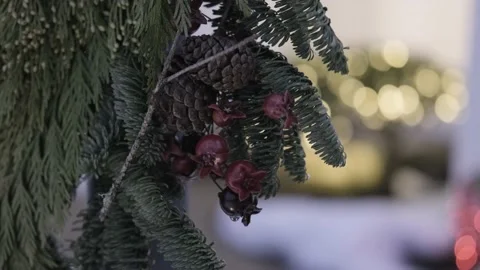 Winter Holiday Vídeo Stock 144457605