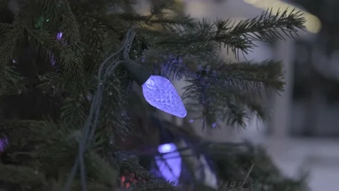 Winter Holiday Vídeo Stock 144457638