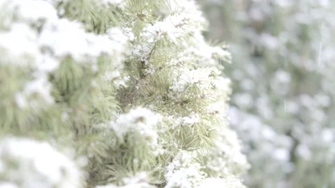 Winter Holiday Vídeo Stock 144457680