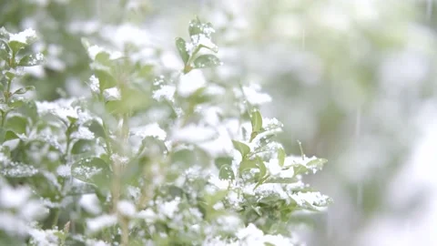 Winter Holiday Vídeo Stock 144457703