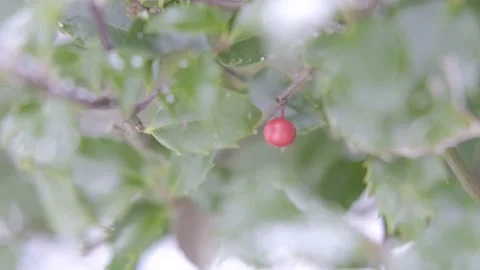 Winter Holiday Vídeo Stock 144457711