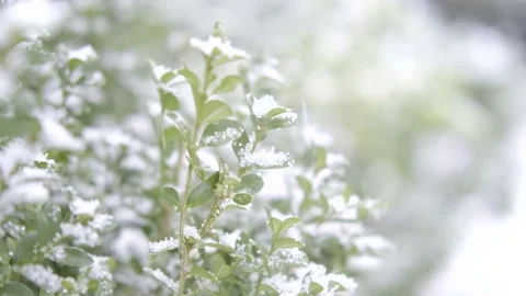 Winter Holiday Vídeo Stock 144457712