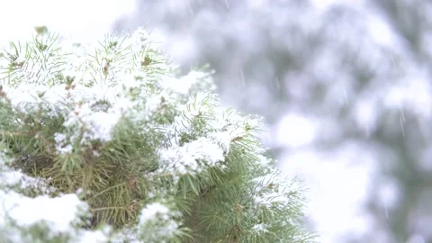 Winter Holiday Vídeo Stock 144457719