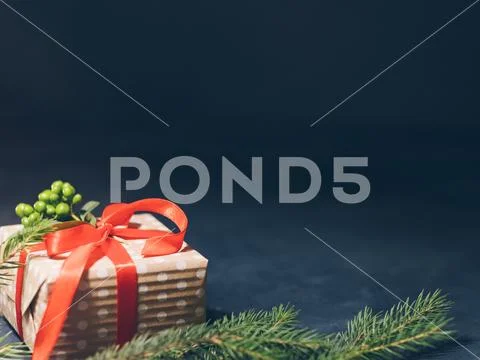 Winter holiday present carton gift box fir tree Stock Photos