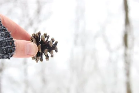 Winter holidays background Stock Photos