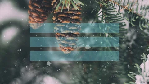 Winter Holidays Evergreen Cones Background Stock Footage 118933711