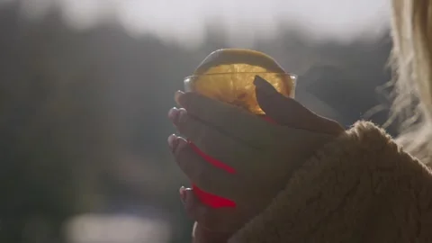 Winter holidays. Stock Footage 315562286