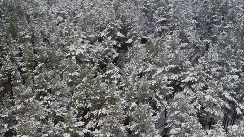 Winter holidays outside the city. Stock Footage 169065950