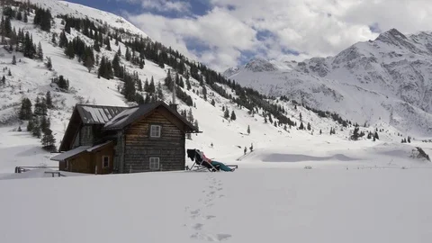 Winter holidays in the wild Stock Footage 82887973