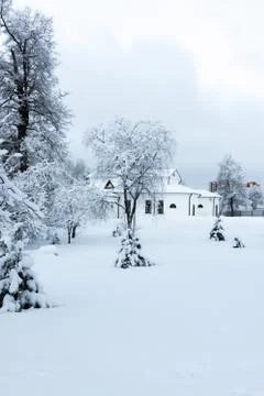 Winter home in trees Fotos Stock