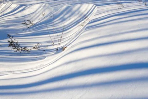 Winter Horizontal Shadows 스톡 사진