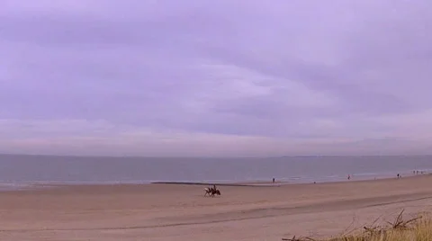 Winter horse ride on the beach. Stock Footage 34230089