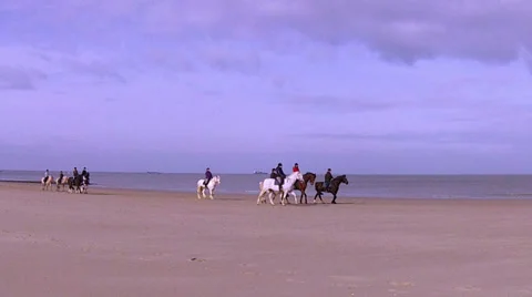Winter horse ride on the beach. Stock Footage 35727563
