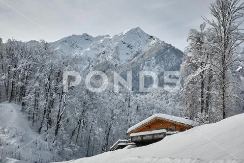 Winter house and spruce tree in a winter snowy panoramic landscape Stock Photos