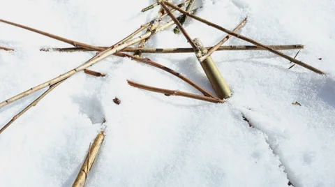 Winter hunting Stock Footage 33695768