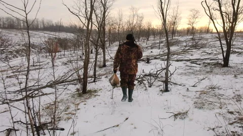 Winter hunting for hares. Hunter With A Catch, Wild Hare. 库存影片 101307183