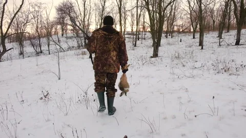 Winter hunting for hares. Hunter With A Catch, Wild Hare. 스톡 동영상 101307253