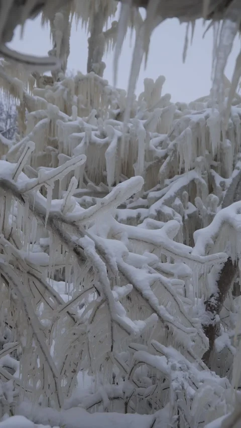 Winter ice covers trees in a frozen landscape in cold weather Stock Footage 343507001