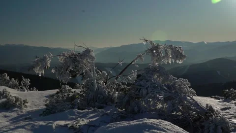 Winter ice formations on tree branches at dawn in a tranquil snowy landscape. Stock Footage 290115275