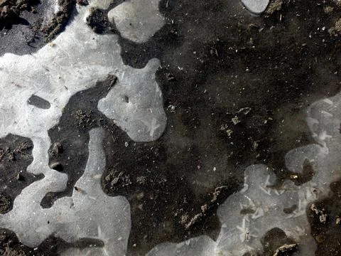Winter Ice Forms on the Ground With Scattered Dirt and Debris Near a Wooded.. 写真素材
