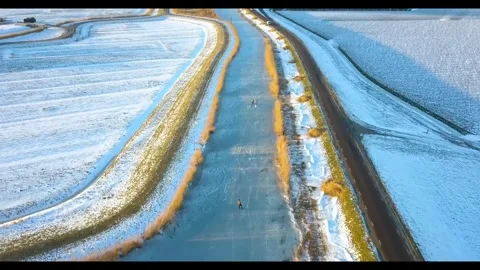 Winter ice Netherland skating Video stock 274414646
