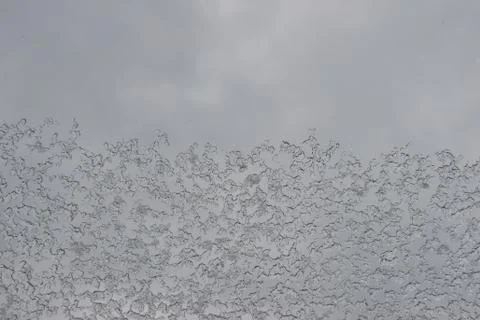 Winter ice pattern Foto stock