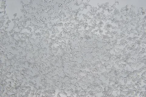 Winter ice pattern Stock Photos