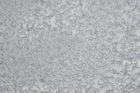 Winter ice pattern Stock Photos