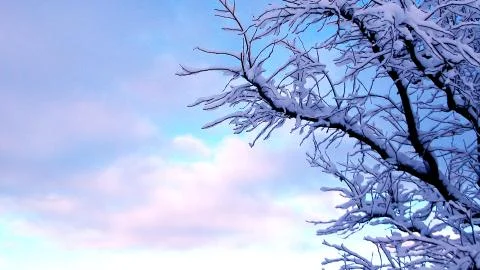 Winter Ice Stock Photos