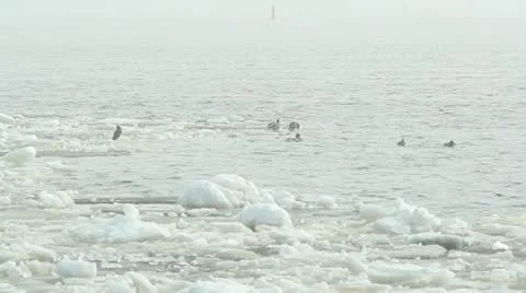 Winter ice in river, ice moving Stock Footage 10834195