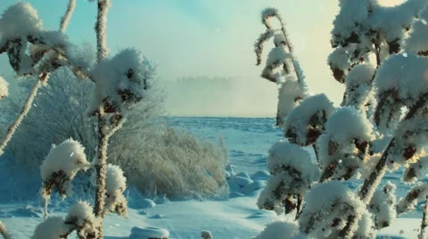 Winter. Ice on the river . Snowy field. Sunset. Sparkling snow. Bulrush. 스톡 동영상 62072192