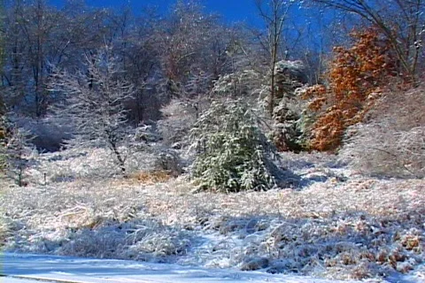 Winter ice storm Stock Footage 87787