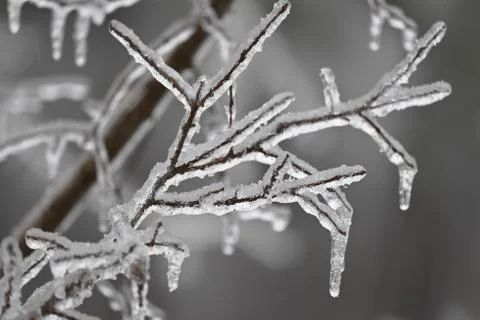 Winter ice storm Stock Photos