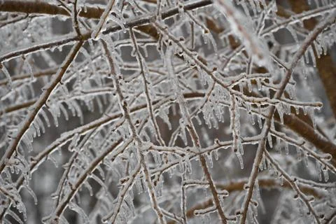 Winter ice storm Stock Photos
