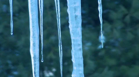 Winter - Icicle Dripping Background Trees Pan Down Stock Footage 42942173