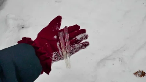 Winter icicles. Pieces of ice in hand. Winter nature and weather Stock Footage 290126340